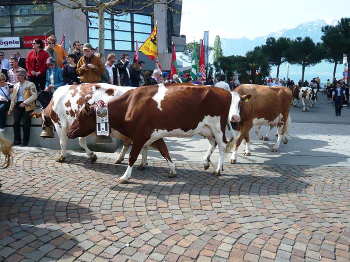 Montreux08_068