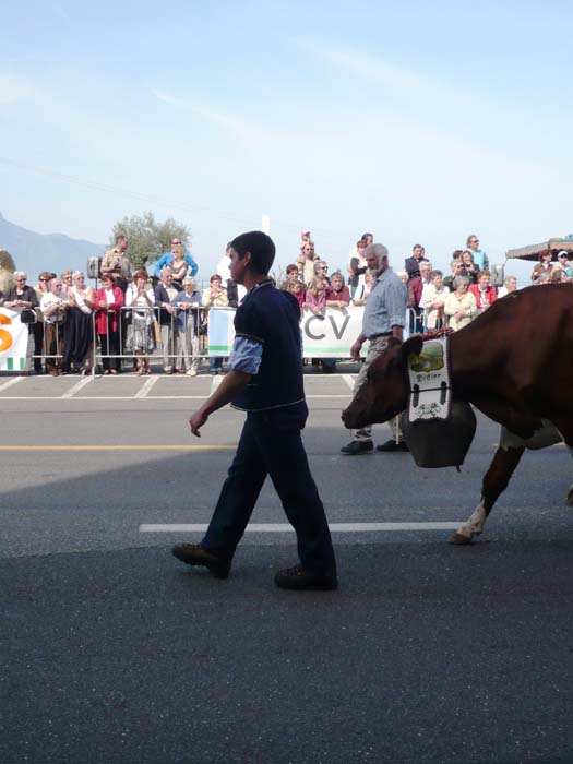 Montreux08_062