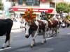 Montreux08_057